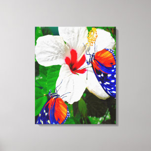 Hibiskus Blume mit 2 Tiger Langschwingende Schmett Leinwanddruck