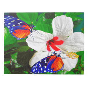 Hibiskus-Blume mit 2 Tiger Longwing Notepad Notizblock