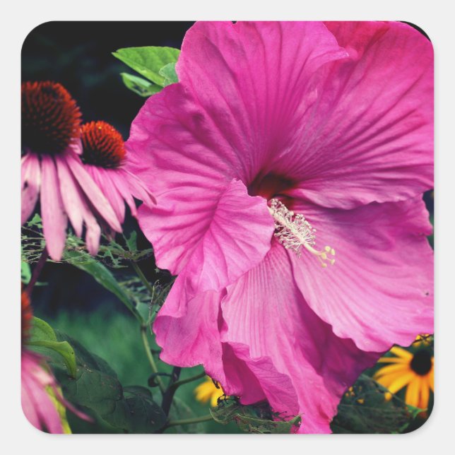 Hibiskus Blume und Freunde Quadratischer Aufkleber (Vorderseite)