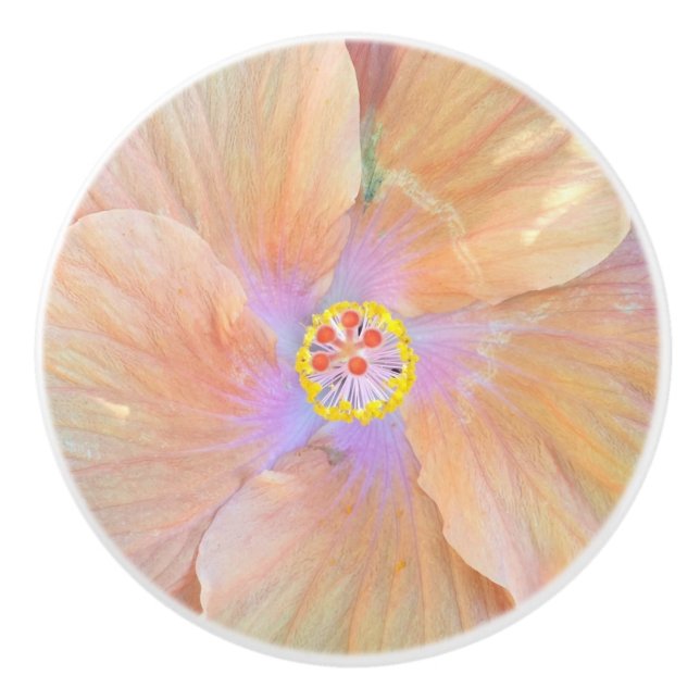 Hibiskus-Blumen-Keramikgriff Keramikknauf (Vorderseite)