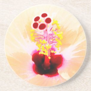 Hibiskus-Blumenfotografie Untersetzer