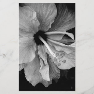 Hibiskus Briefpapier