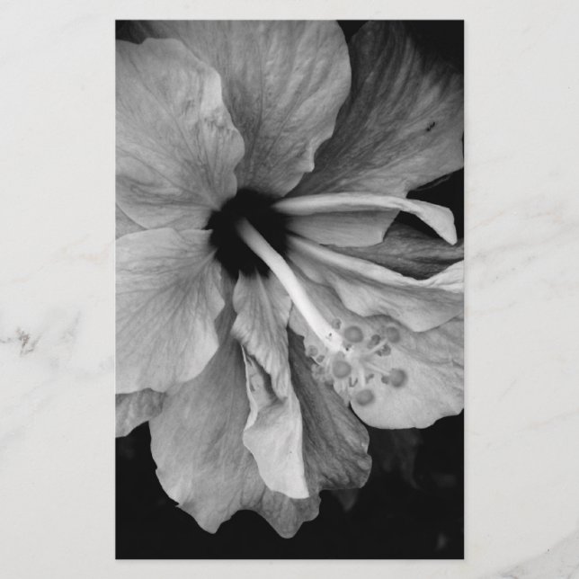 Hibiskus Briefpapier (Vorderseite)