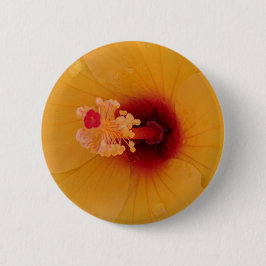 Hibiskus Button