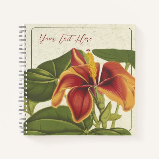 Hibiskus Elatus: Ein tropisches MammoNotebook Notizbuch (Vorderseite)