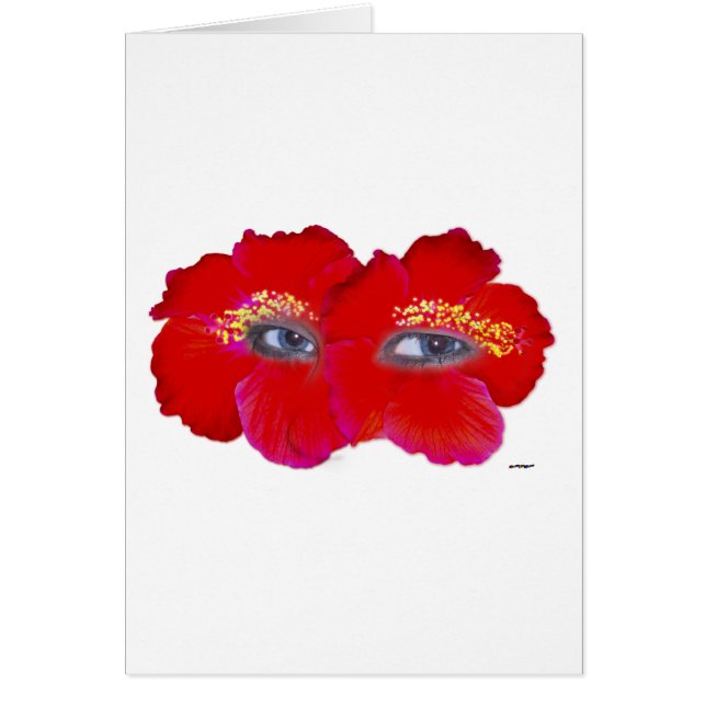 Hibiskus Face - Red (Vorne)