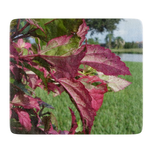 Hibiskus-"Feuer-und Eis-" Pflanze Schneidebrett (Vorderseite)