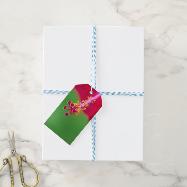 Hibiskus Geschenkanhänger (Mit Garn)