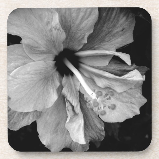 Hibiskus Getränkeuntersetzer (Vorderseite)