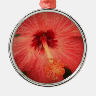 Hibiskus Grunge zum Zentrum der Blume vergrößert Ornament Aus Metall