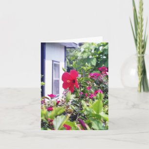 Hibiskus hallo karte