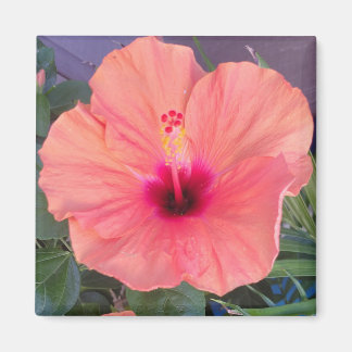 HIBISKUS HEIM MAGNET