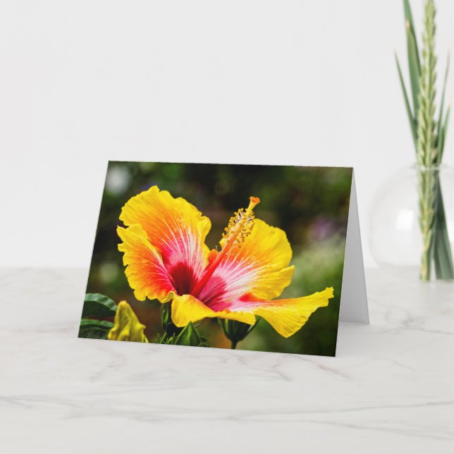 Hibiskus Hellgelb mit rotem Herzen Karte (Vorderseite)