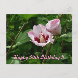 Hibiskus Hibiskus 50. Geburtstag Jubiläum Postkarte