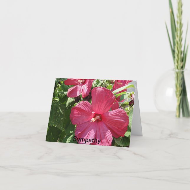 Hibiskus in heiß rosa, Beileid Karte (Vorderseite)