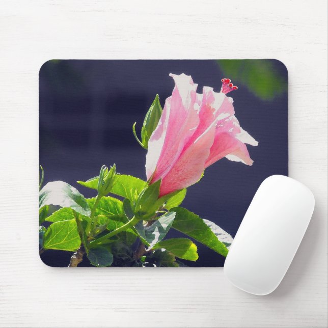 Hibiskus in heller Sonneneinstrahlung Mousepad (Mit Mouse)