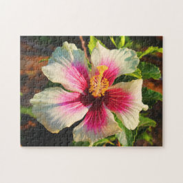Hibiskus in Oahu, Hawaii