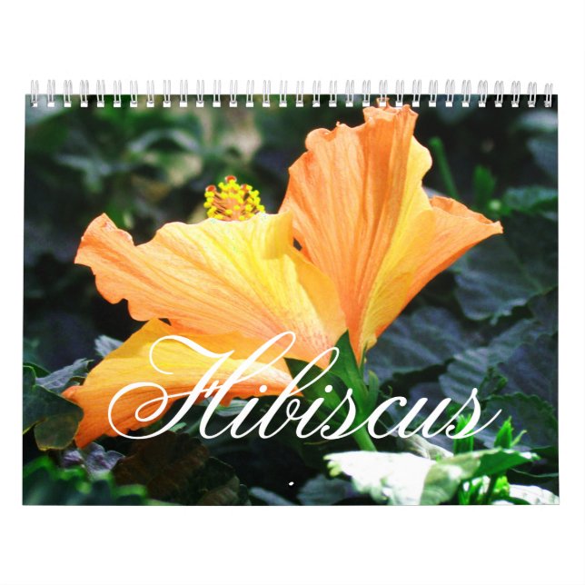 Hibiskus-Kalender Kalender (Titelbild)