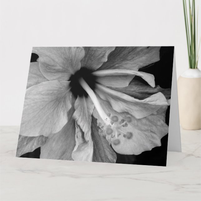 Hibiskus Karte (Vorderseite)