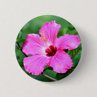 Hibiskus-Knopf Button
