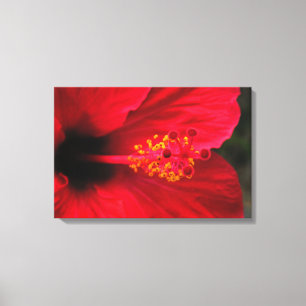 Hibiskus Leinwanddruck