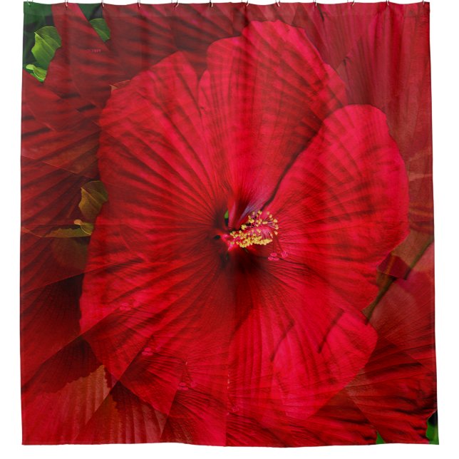 Hibiskus Liebe.... Duschvorhang (Vorderseite)