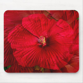 Hibiskus Liebe.... Mousepad