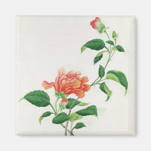 Hibiskus Magnet (Vorne)