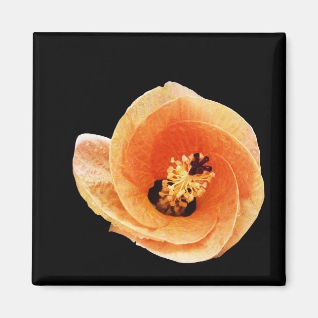 Hibiskus Magnet (Vorne)