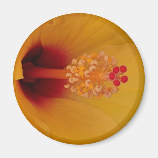 Hibiskus Magnet (Vorne)