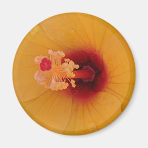 Hibiskus Magnet
