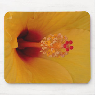 Hibiskus Mousepad