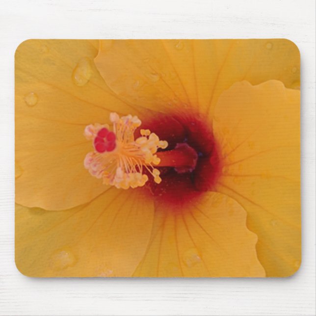 Hibiskus Mousepad (Vorne)