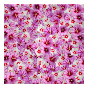 Hibiskus - Muster der chinesischen Rose Blume Fotodruck