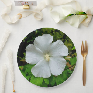 Hibiskus-Papierplatte Pappteller