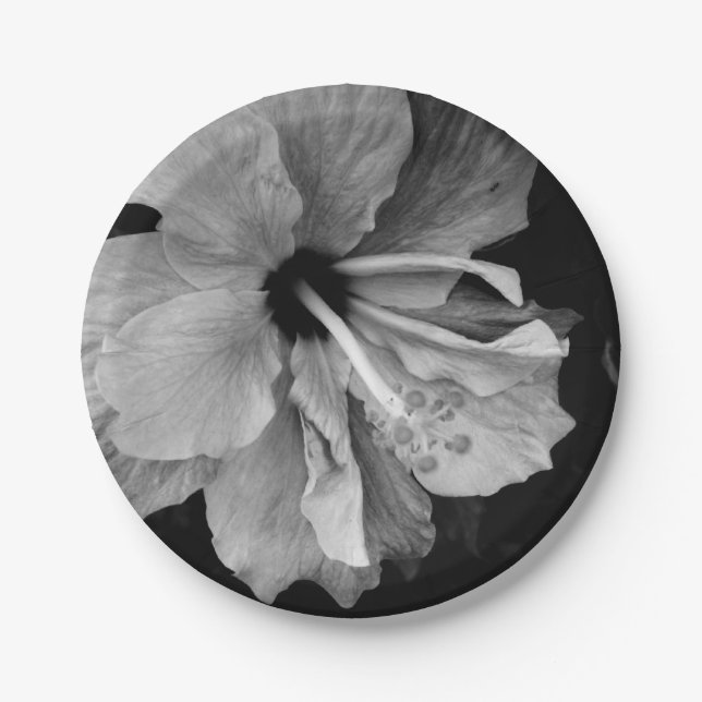 Hibiskus Pappteller (Vorderseite)
