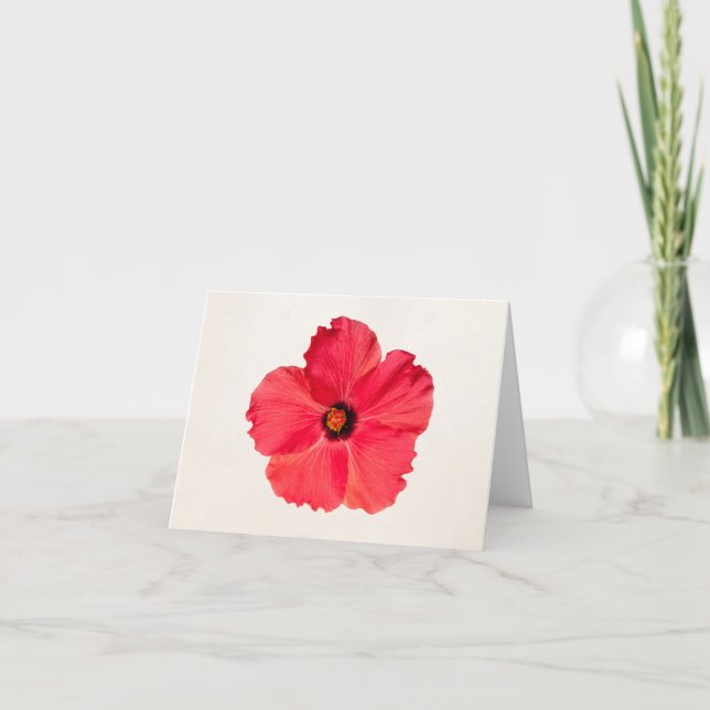 Hibiskus - Personalisierte Tropisch-Hot-Pink-Blume Karte (Vorderseite)