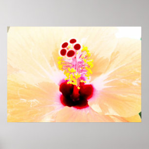 Hibiskus Poster