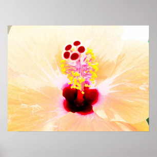 Hibiskus Poster