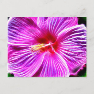 Hibiskus Postkarte