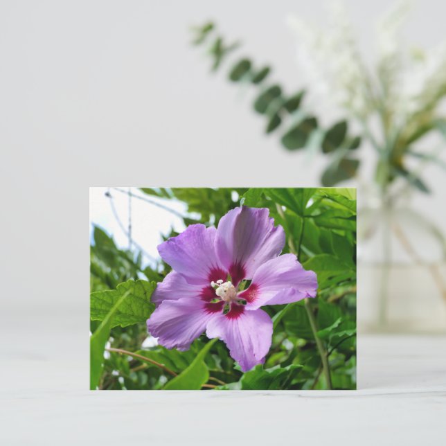 Hibiskus Postkarte (Stehend Vorderseite)