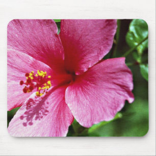 Hibiskus, Rosa Mousepad