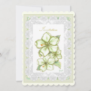 Hibiskus & Spitzen WHITE