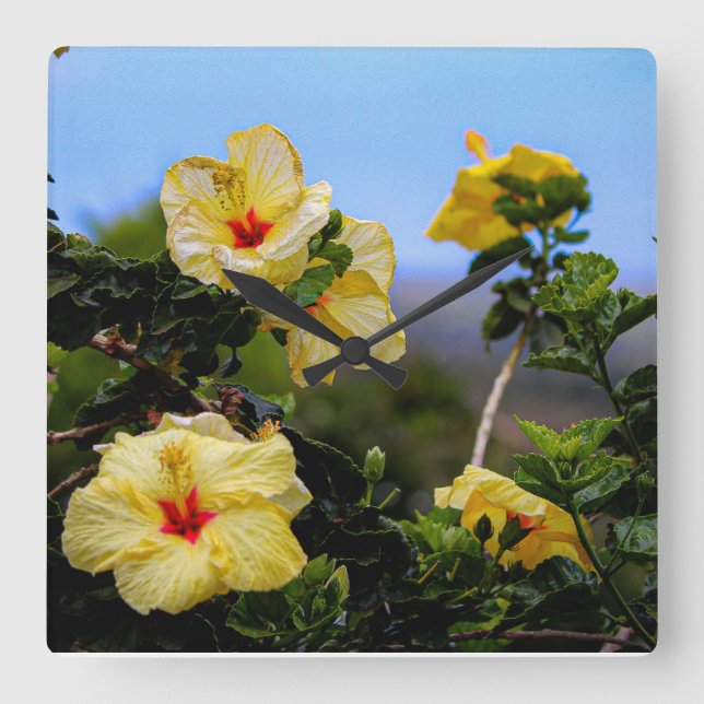 Hibiskus Square Maui Wanduhr (Vorderseite)