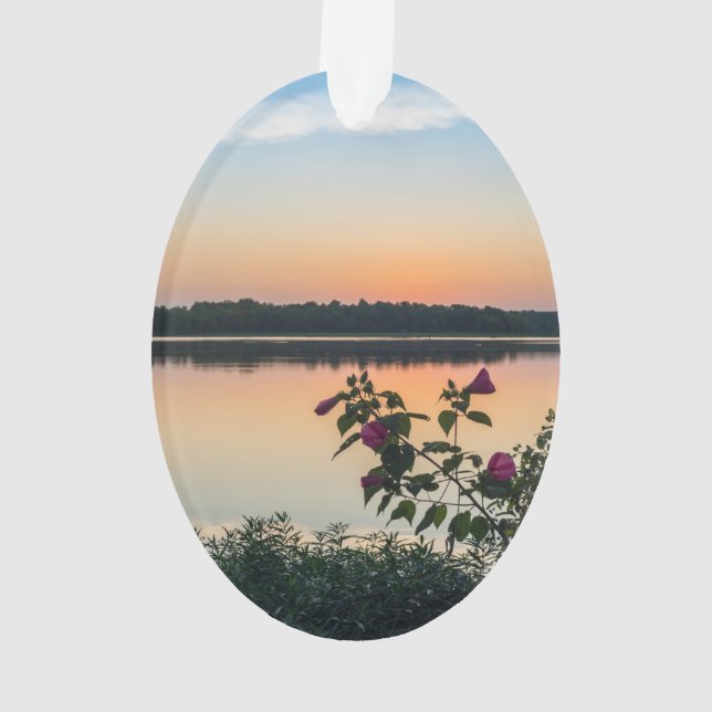 Hibiskus Sunrise Ornament (Rückseite)