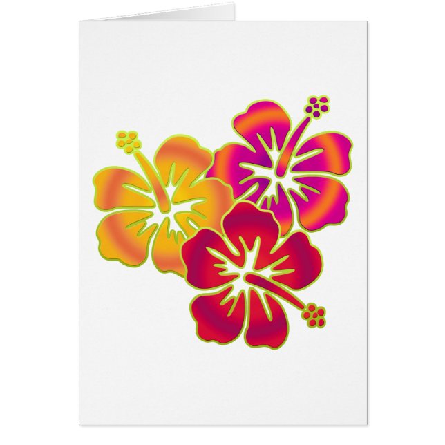 Hibiskus Trio (Vorne)