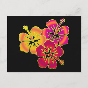 Hibiskus Trio   BG schwarz Postkarte