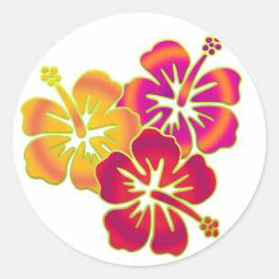 Hibiskus Trio Runder Aufkleber