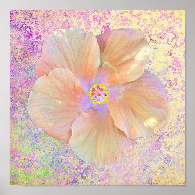 Hibiskus tropische Blume iridescent aussehen rosa  Poster (Vorne)