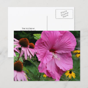Hibiskus- und Blumengarten-Fotografie mit Freunden Postkarte